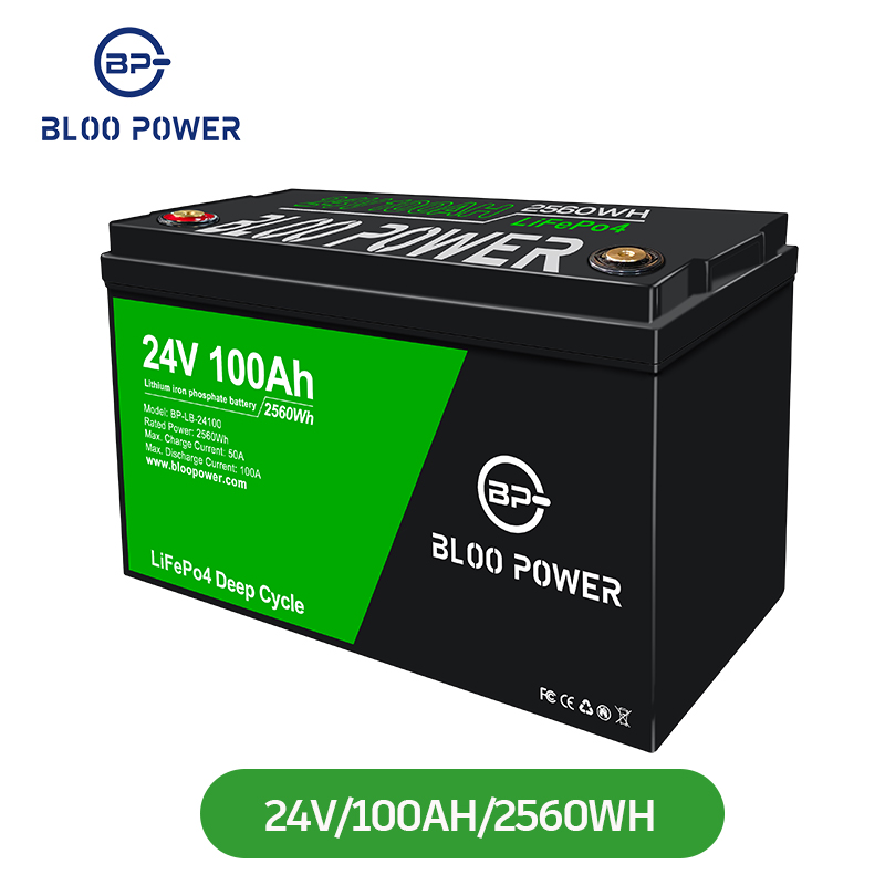 24V 100Ah 200Ah 300Ah Batterie Lithium ion Lifepo4 Battery With Grade A Battery Cells