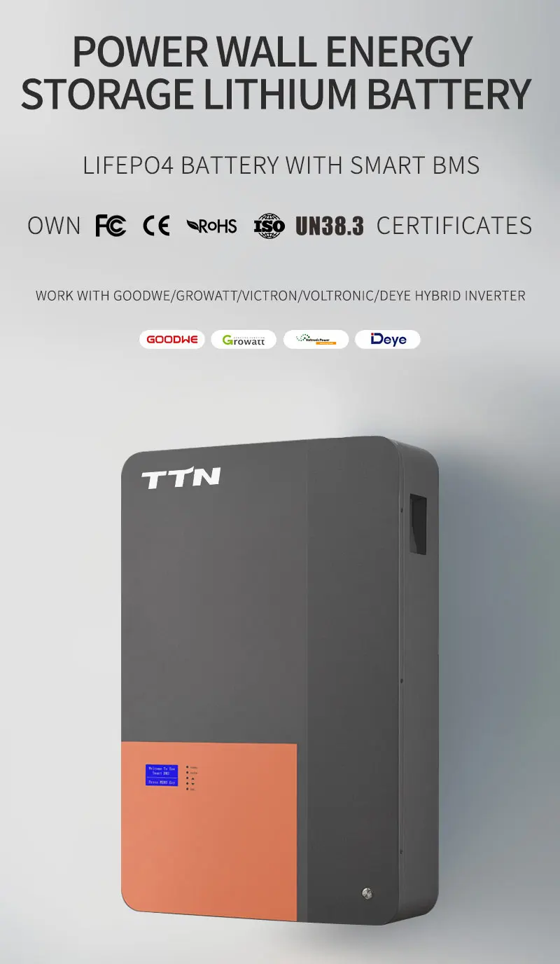 48V-60V Lithium Battery Pack - 30AH-200AH for EVs Solar System Scooter TTN