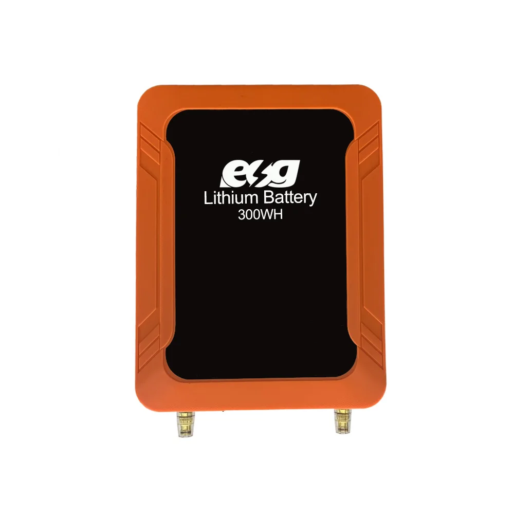 300W Portable Solar Energy System | Complete AC/DC Power Solution | ESG