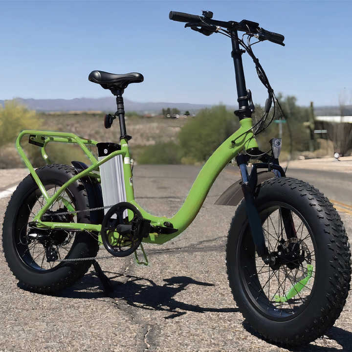 Electric Bicycle Lithium Ion Battery 24V 36V 13Ah 17.5Ah 21Ah Silver Fish 4000 Cycles Long Life High Capacity Ebike Pack SUNBOND