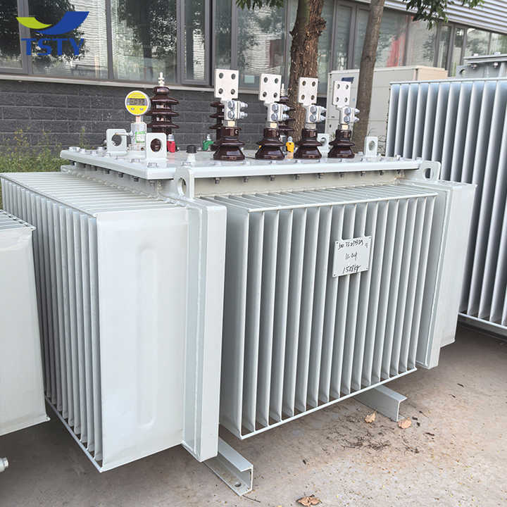 Three Phase Power Electrical Transformer 33KV 15KV 10KV 20KVA 25KVA 125KVA 200KVA 250KVA 300KVA Oil-Immersed Multi Winding for Electronic Applications TSTY