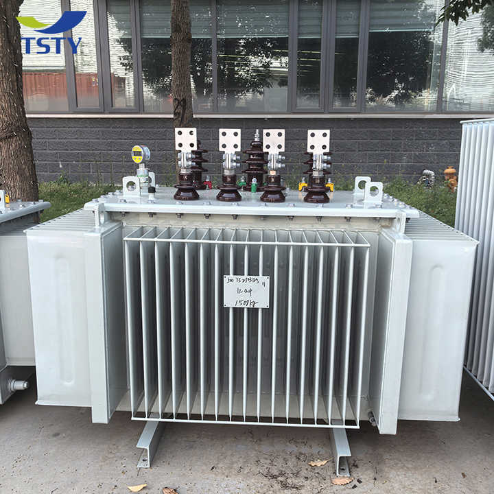 Three Phase Power Electrical Transformer 33KV 15KV 10KV 20KVA 25KVA 125KVA 200KVA 250KVA 300KVA Oil-Immersed Multi Winding for Electronic Applications TSTY