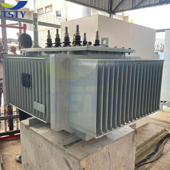 Power Transformer Oil-Immersed Transformer Distribution Transformer High Quality Durable Reliable for Industrial Electronic Applications TSTY
