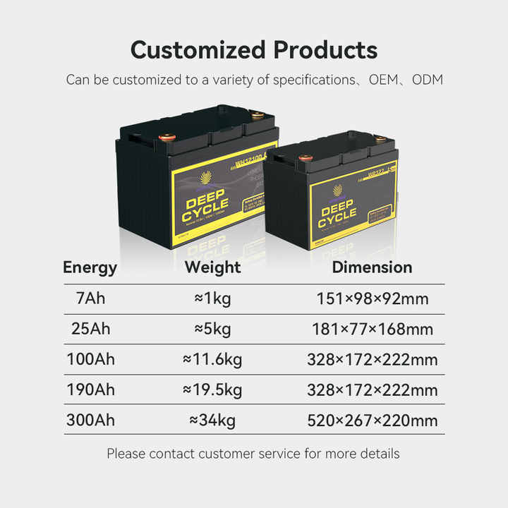 Lithium Ion Battery Pack 12V 24V 36V 48V 7Ah 100Ah Long Cycle Life 6000 Cycles for Power Tools Medical Equipment Drones Wirentech