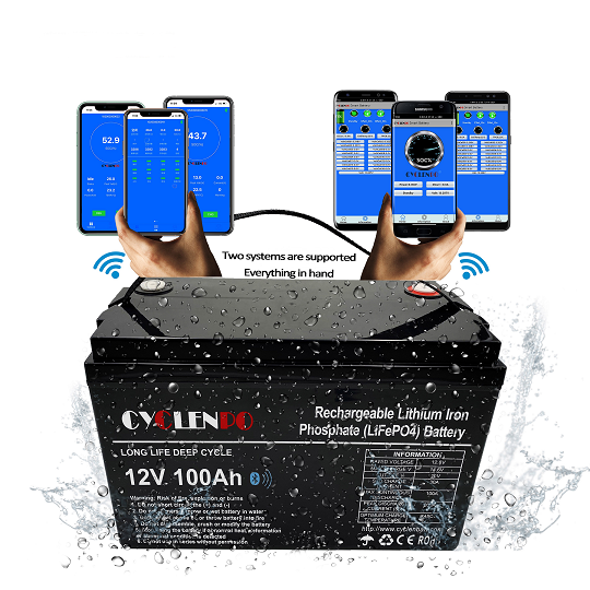 12V 100Ah LiFePO4 Battery 4000 Cycles High-Capacity Energy Storage for Solar Systems Boats Electric Forklifts cyclenpo