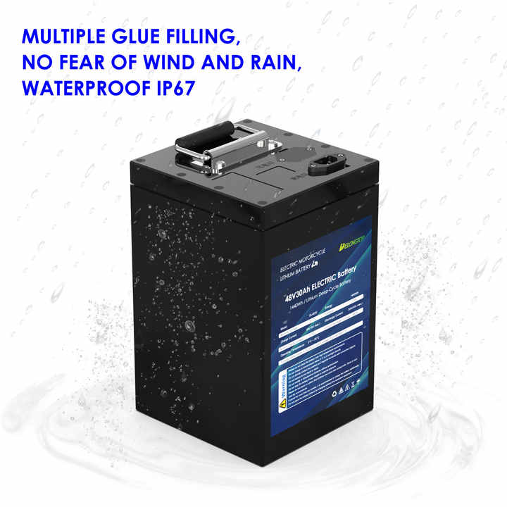 48V LiFePO4 Power Battery Pack 20Ah 6500 Cycles Long Life for E-Bikes Motorcycles DELONG