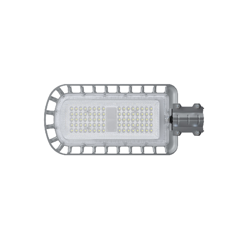 Solar King Light 1.0 5V/50W 2200lm Outdoor Street Lighting System for Parks Roads Residential Areas BlueCarbonTech
