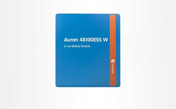 Telecom Li-ion Battery 48V High Energy Density for Remote Outdoor Power Backup