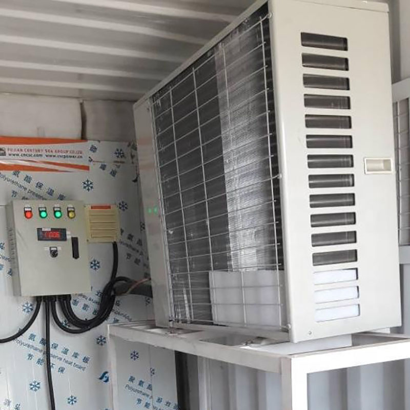 20ft Mobile Container Solar-Powered Cold Storage Room for Fish, Meat, Vegetable, and Ice Storage -8℃ 5kW CSCPOWER