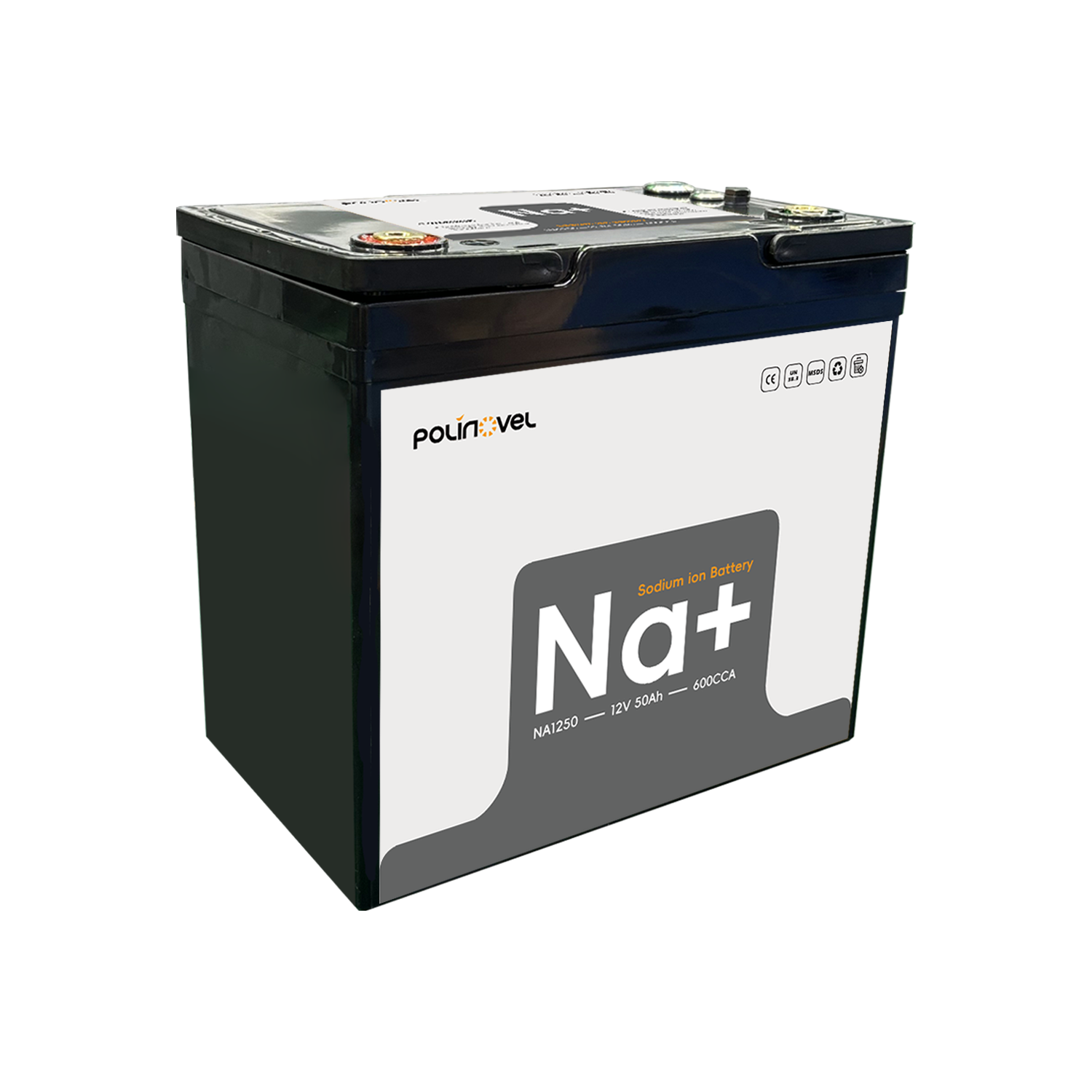 12V 210Ah Dual Purpose Lithium Battery High CCA & Deep Cycle for Marine RV Solar Polinovel