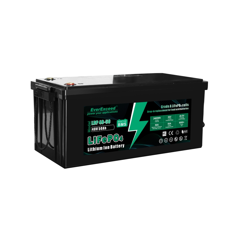 Lithium Ion Battery 38.4V/48V 100Ah/50Ah Long Life Cycle for Golf Cart EverExceed